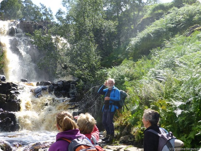 bleabeck force