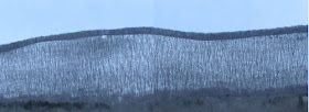 winter hillside