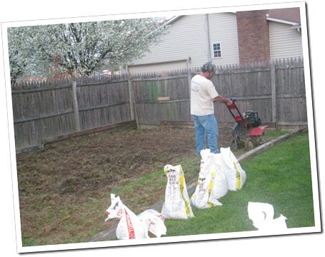 garden and sunrise 046