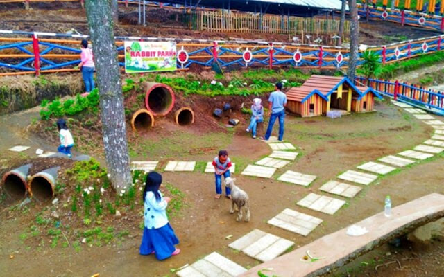 Rabbit Park Lawu Park Haruyuki