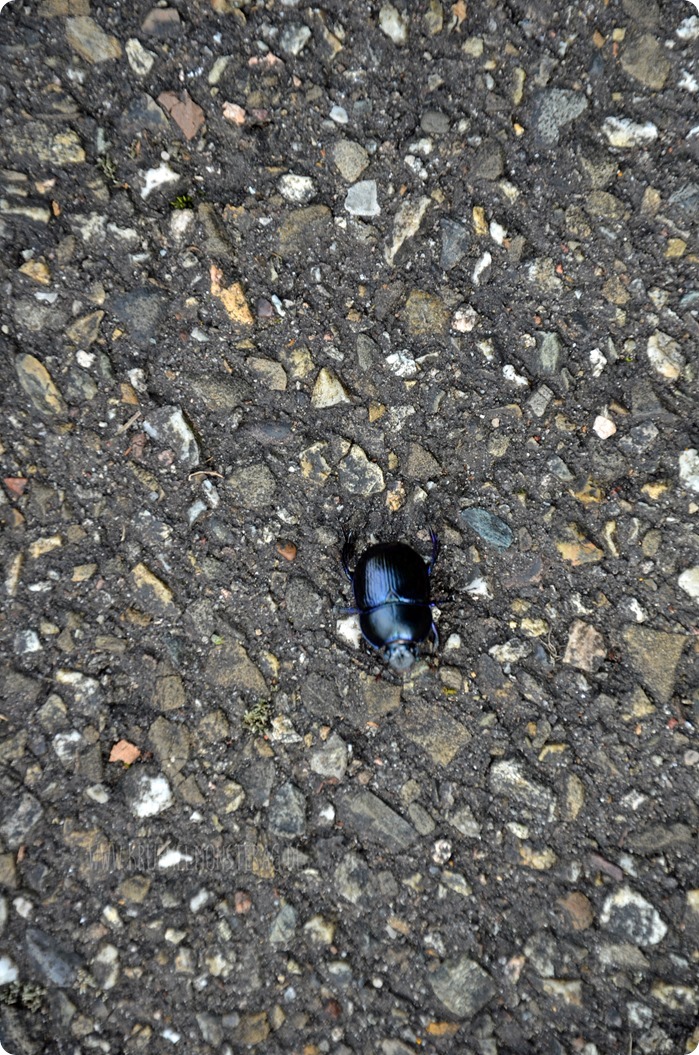 BlickDienstag #53 (2)
