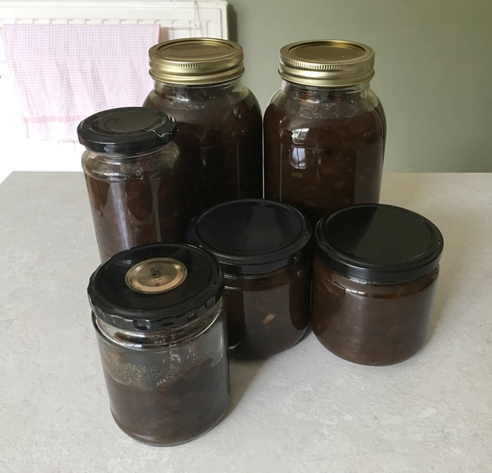 Apple Chutney 5-9-18