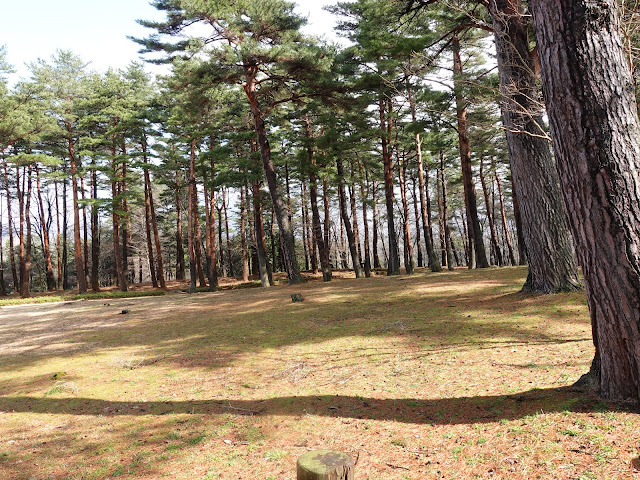 鳥取県西伯郡伯耆町丸山　ふれあいの森キャンプ場