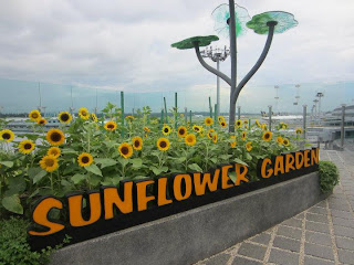 sunflower garden terminal 2 changi airport