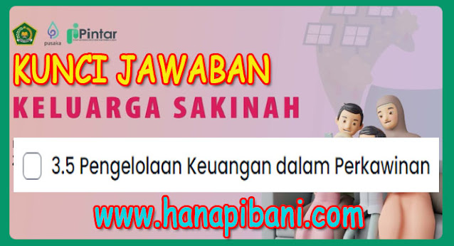 hanapibani.com