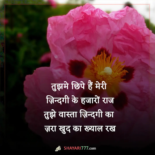 zindagi shayari in hindi, zindagi status quotes in hindi, खुशनुमा जिंदगी शायरी, दर्द जिंदगी शायरी, शुक्रिया जिंदगी शायरी, अकेली जिंदगी शायरी, परेशान जिंदगी शायरी, खूबसूरत जिंदगी शायरी, जिंदगी की परीक्षा शायरी, 4 दिन की जिंदगी शायरी