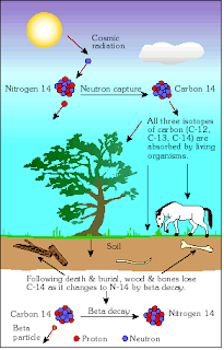 carbon dating replica