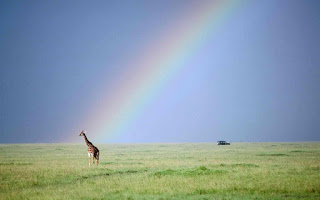 Rainbow pictures for wallpaper 