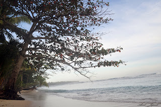 indonesia beach. pantai krui pesisir barat.seray beach. pantai seray