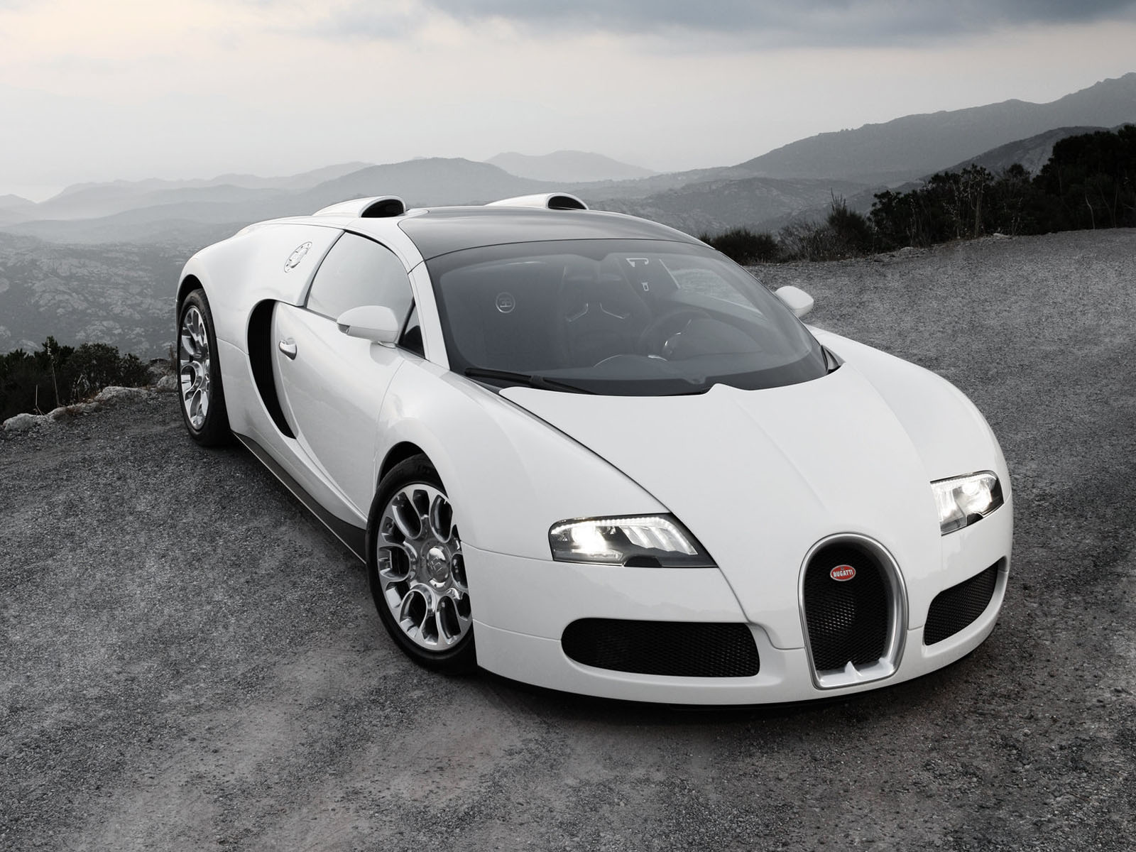 Super Jump Cars: white bugatti veyron wallpaper