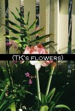 TK's Flowers