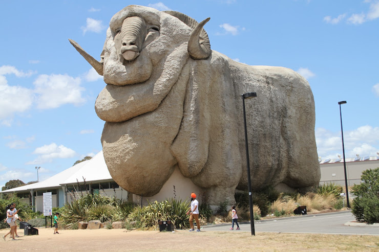 The Big Merino
