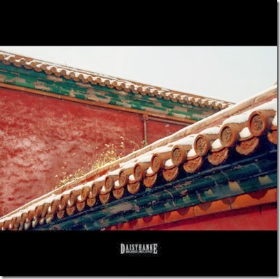 Forbidden City in Snow 故宮下雪  05