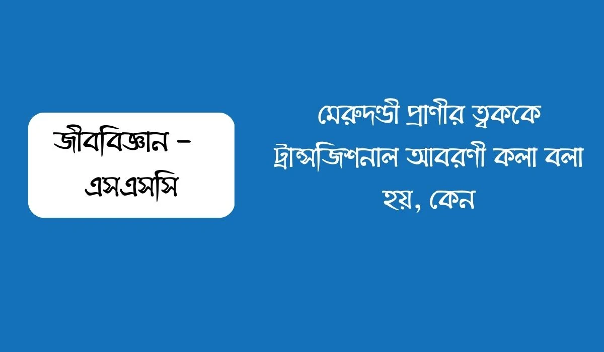 মেরুদণ্ডী প্রাণীর ত্বককে ট্রান্সজিশনাল আবরণী কলা বলা হয়, কেন