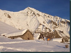 alp