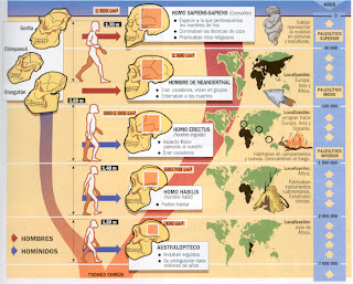 Resultado de imagen de hominizacion