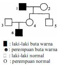 Peta silsilah buta warna