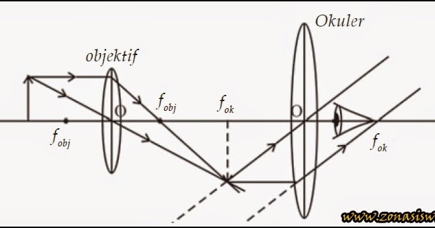 Mikroskop (Pengertian & Pembesaran)