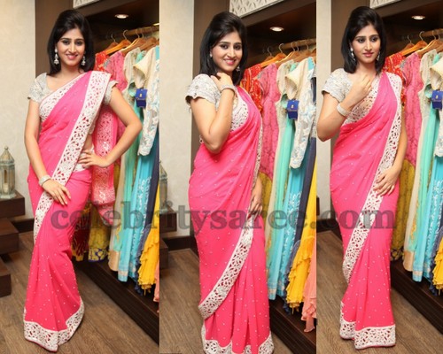 Shamili in Cut Work Georgette Saree