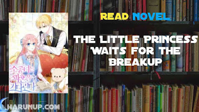 Read The Little Princess Waits for the Breakup Novel Full Episode