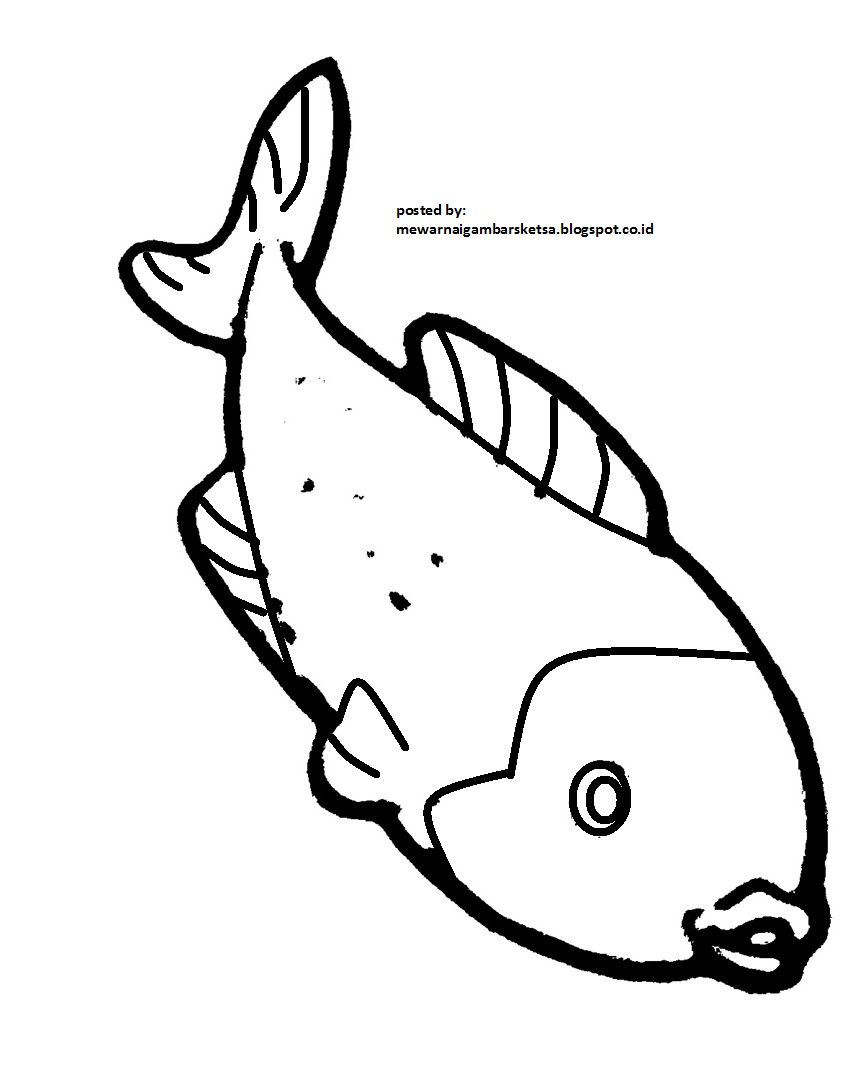 Mewarnai Gambar Mewarnai Gambar Sketsa Hewan Ikan 7