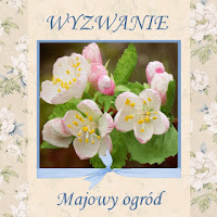 http://szuflada-szuflada.blogspot.com/2017/05/wyzwanie-majowe.html