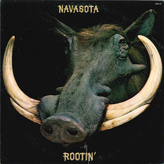 Navasota "Rootin'1972 US Southern Blues Rock (feat Donald Fagan & pre-Steely Dan members)  (100 + 1 Best Southern Rock Albums by louiskiss)