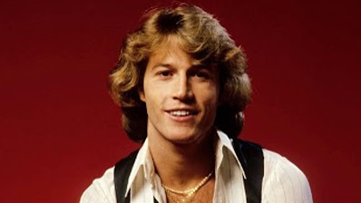 Desktop Wallpaper Andy Gibb