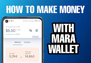 How to earn money on mara wallet