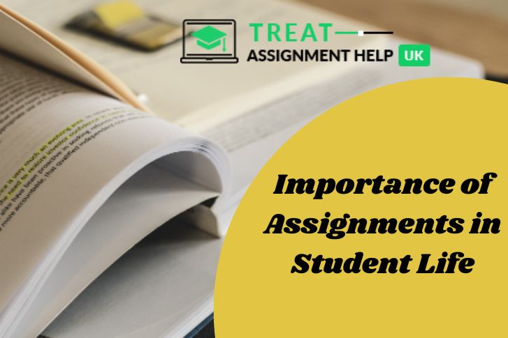 Importance of Assignments in Student Life