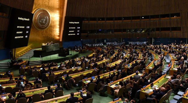 Assembleia Geral da ONU aprova resolução que pede 'trégua humanitária imediata' em Gaza