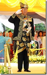 yang-dipertuan-agong-ke-14