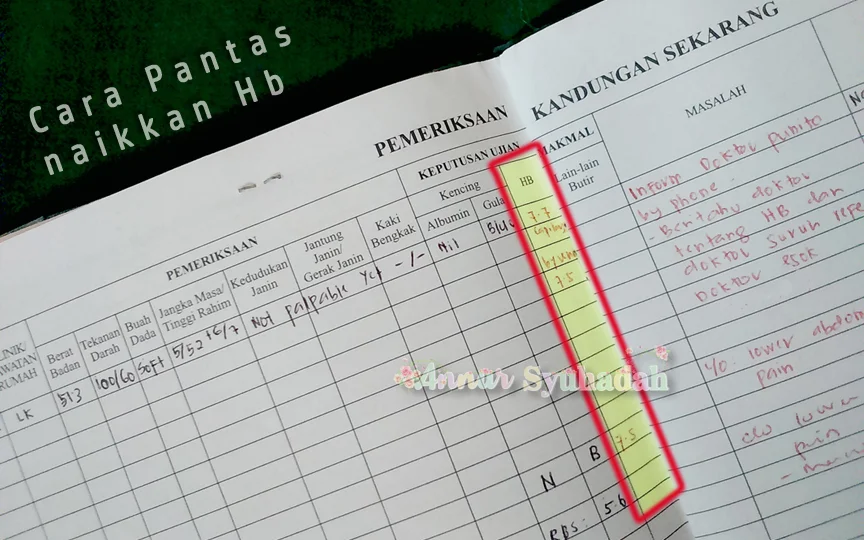 Cara pantas selesaikan masalah Hb rendah masa mengandung.