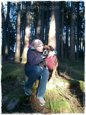 Boxer Amy und ich im Wald