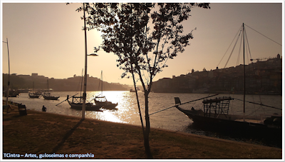 cidade do Porto; Rio Douro; conhecendo Portugal: viagem à Europa