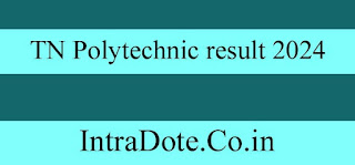 www.tndte.com result 2024