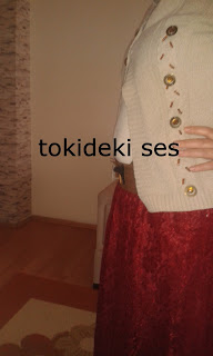 Tokideki sesin 4 aylık hamilelik günlüğü