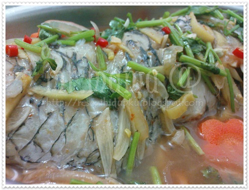 Mr.mama@: Ikan Bayan Stim