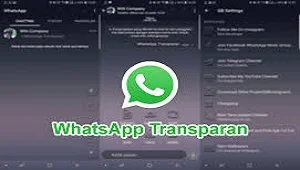 Cara Mengganti Tema Whatsapp Tanpa GBWhatsApp