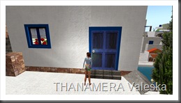 Snapshot_009
