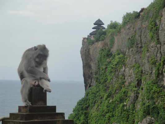 Bali Monkey Forest - Most Popular / Famous Bali Attractive Places