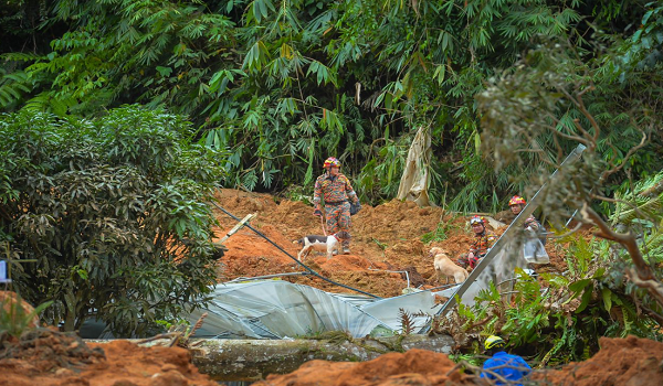 Anjing Pengesan Unit K-9 Bomba Tanah Runtuh Batang Kali