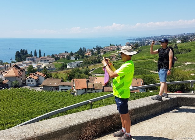 Hiking the Wine Trail of Lavaux - Route Petite-Corniche