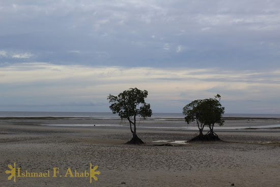 The sea is gone in Microtel Palawan, Puerto Princesa