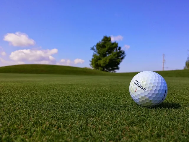 Bola golf di lapangan