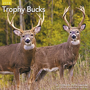 2018 Trophy Bucks Wall Calendar (Mead)