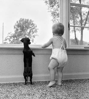 dog and child