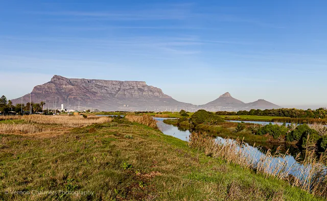 Table Mountain View From the Table Bay Nature Reserve Woodbridge Island Milnerton Photo Vernon Chalmers