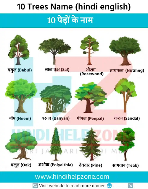 10 Trees Name | 10 पेड़ों के नाम
