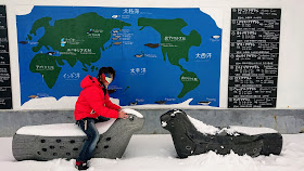 北海道 おたる水族館